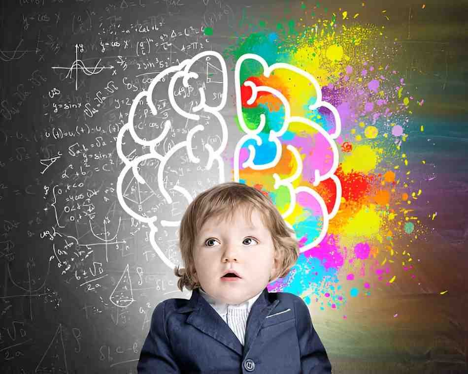 Hemispheres in Human Cognition