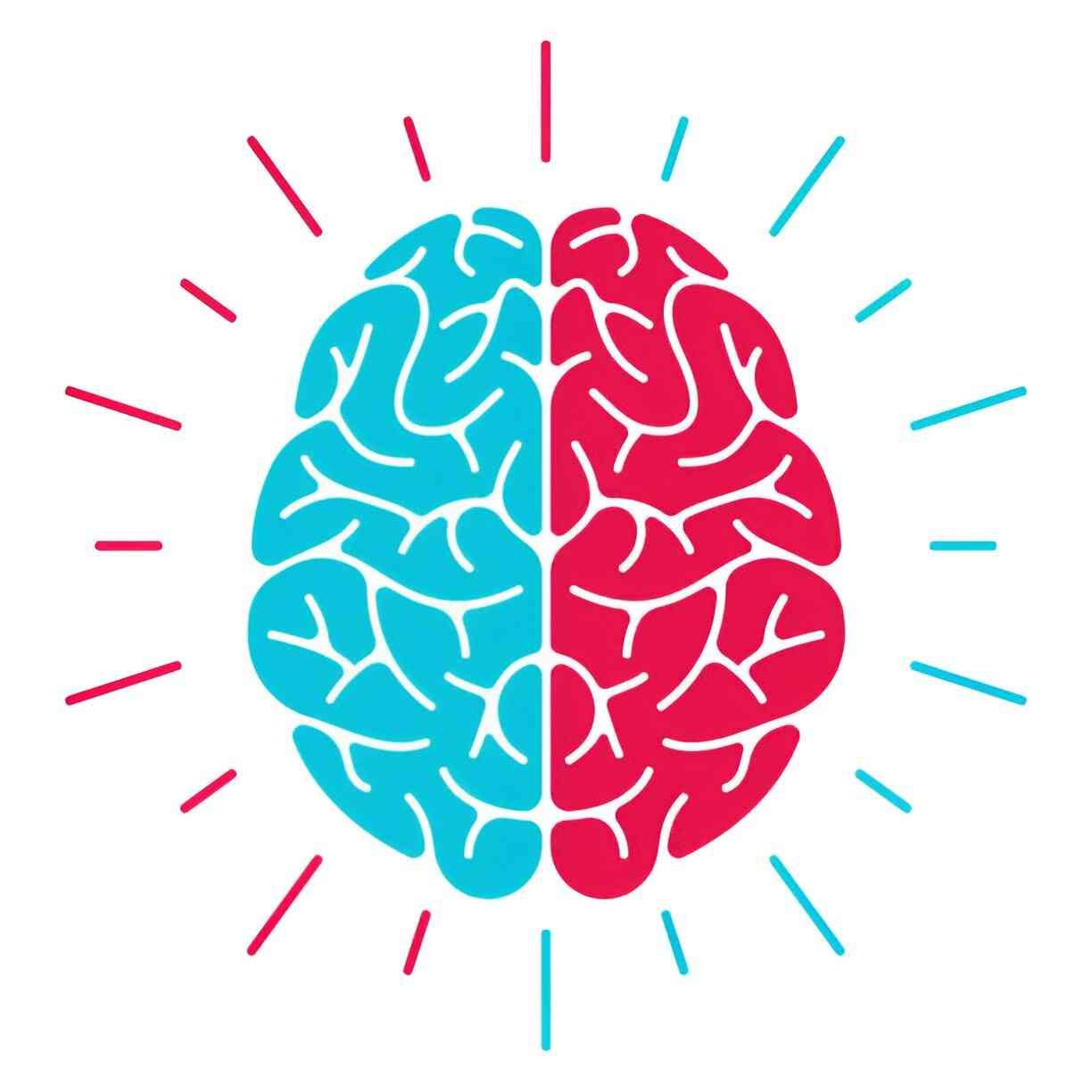 Left Brain and Right Brain