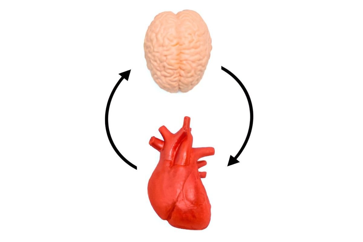 Mind-Body Connection