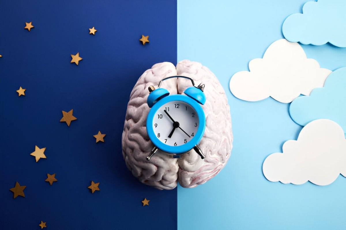 Circadian Cycles and Health