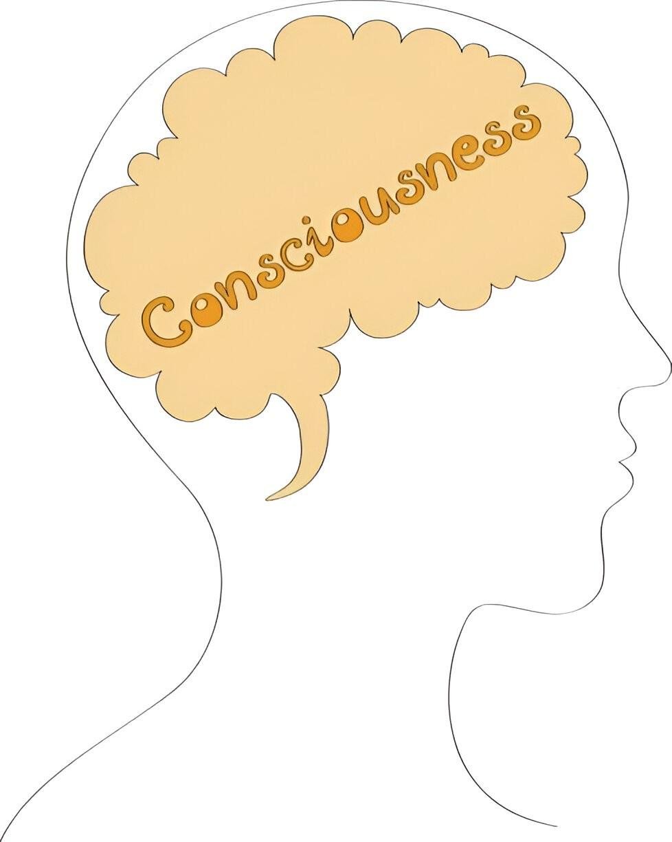 The Unconscious Mind's Influence on Perception and Judgment