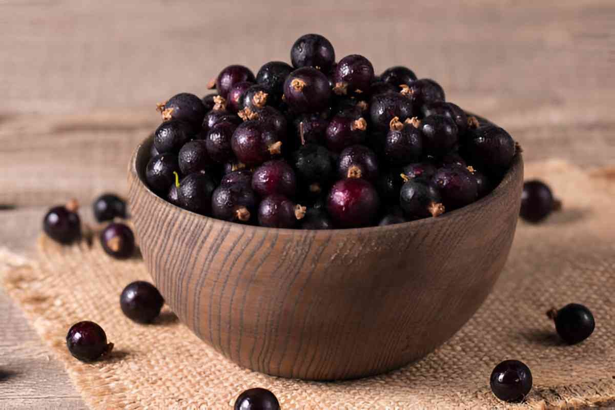 Acai