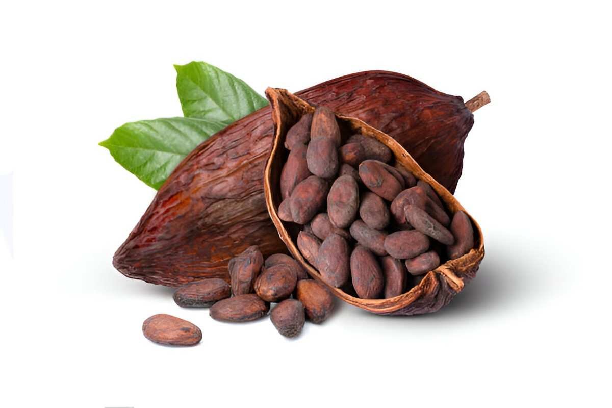 Benefits of Cacao