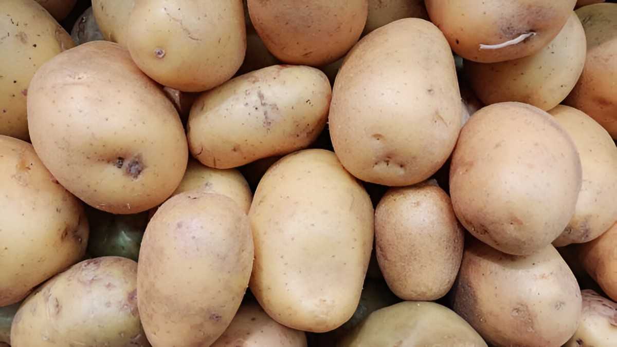 Benefits of Potatoes