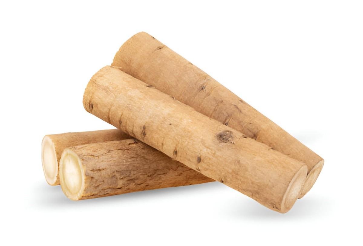 Burdock Root