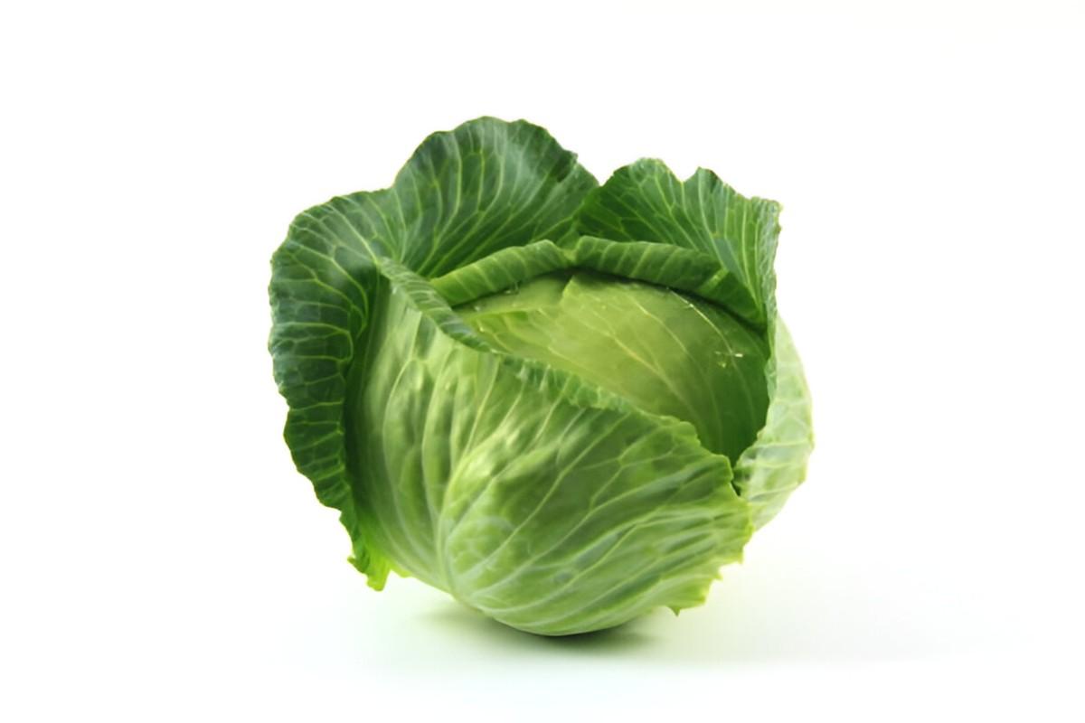 Cabbage
