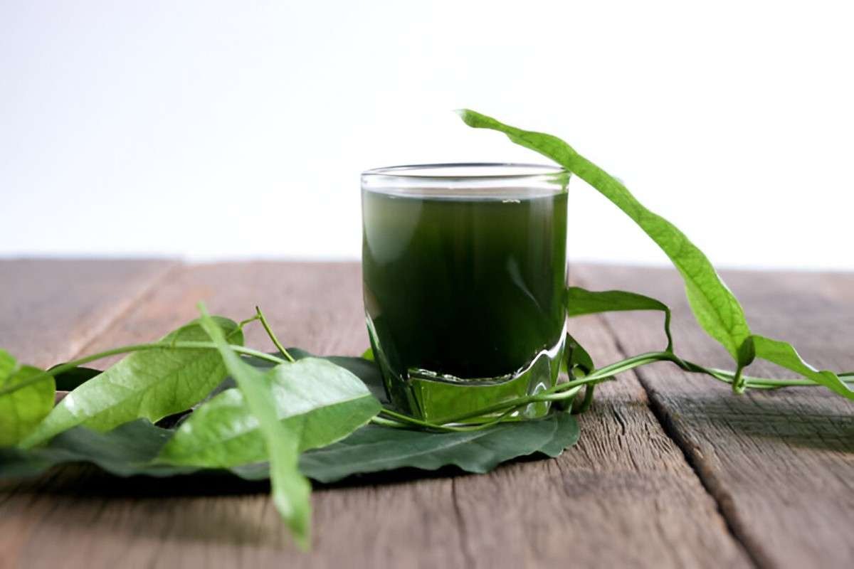 Chlorophyll Water