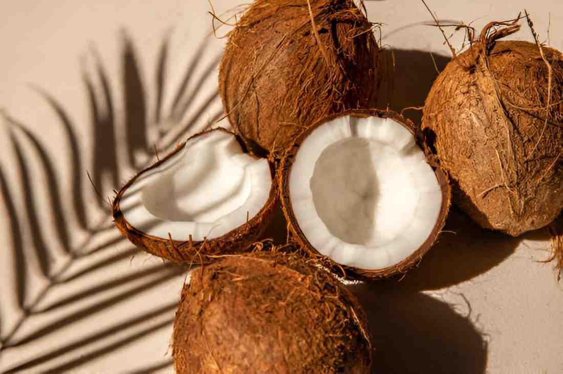 Coconut