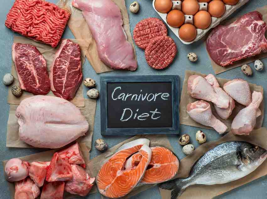 Exploring the Carnivore Diet Unveiling its Health Benefits and Considerations