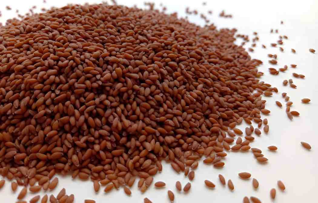 Exploring the Health Benefits of Alsi Seeds