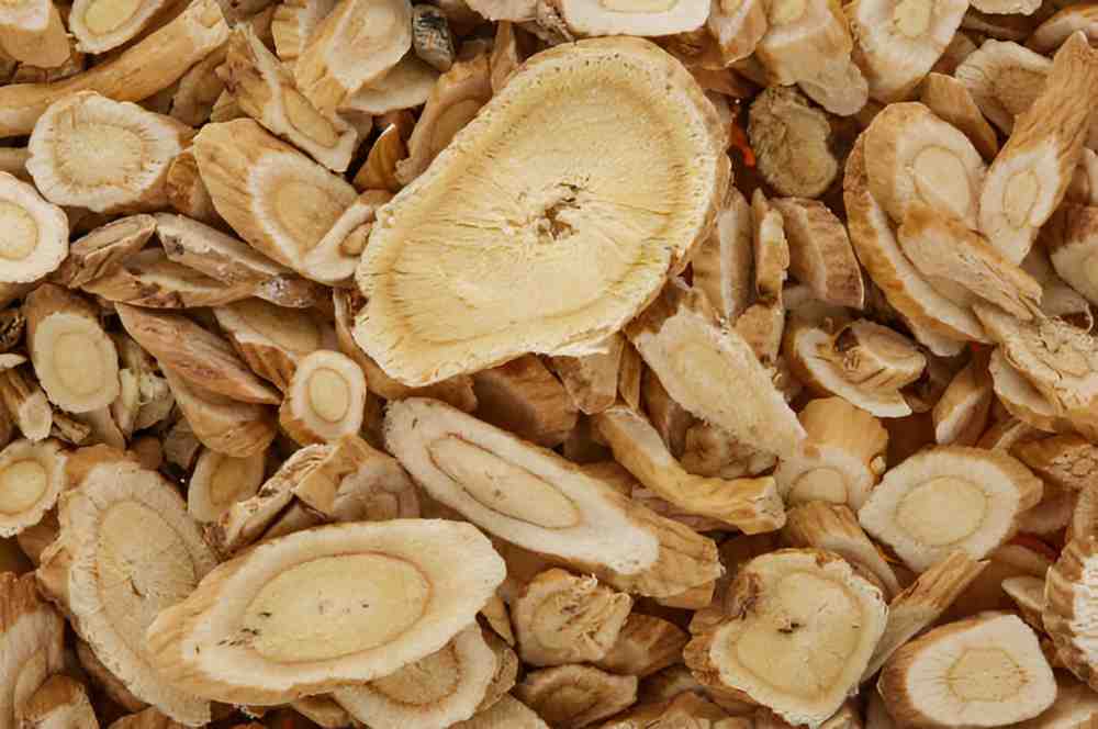 Exploring the Health Benefits of Astragalus A Traditional Herbal Powerhouse