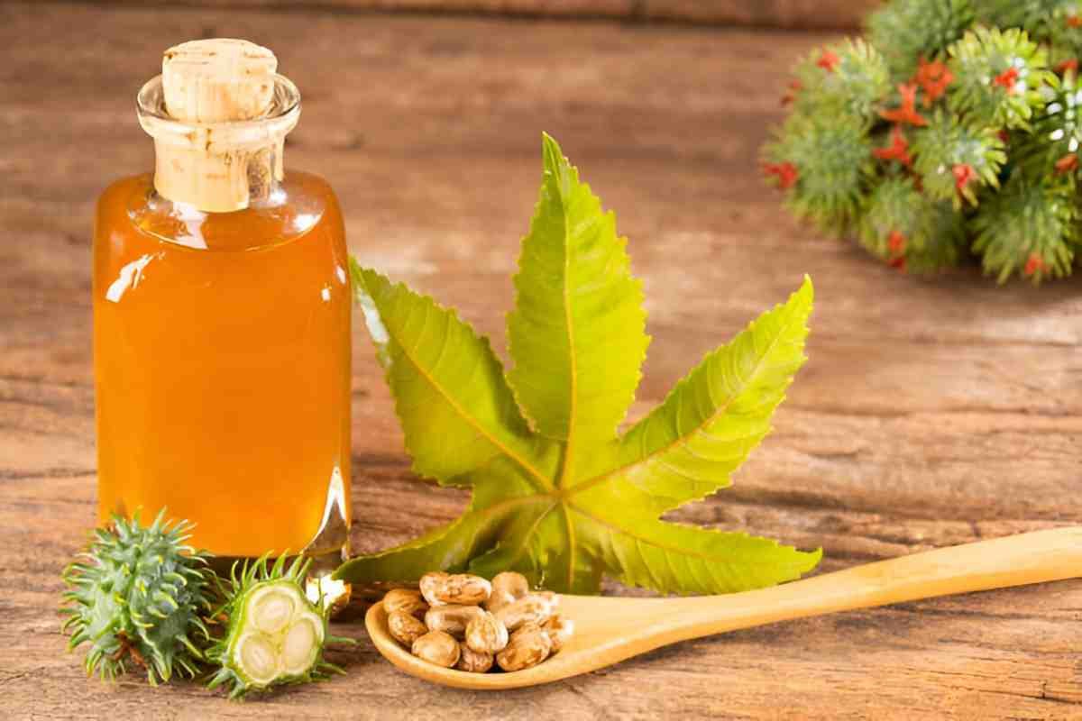 Exploring the Health Benefits of Castor Oil