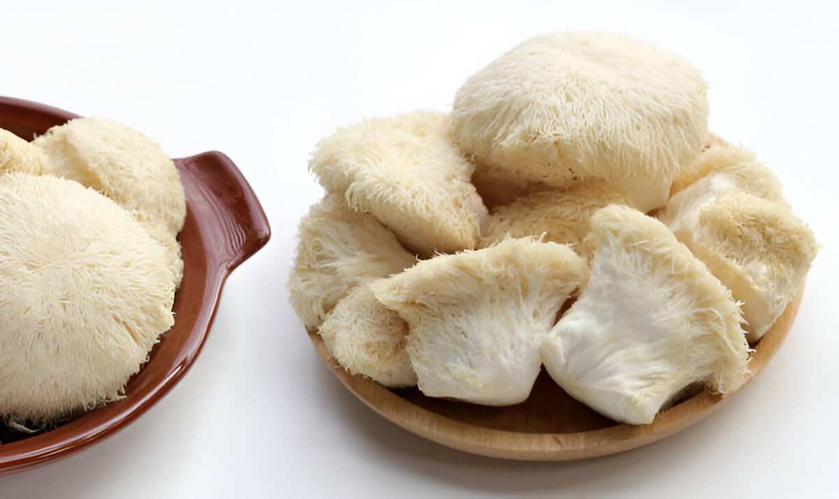 Exploring the Health Benefits of Lion's Mane Mushroom