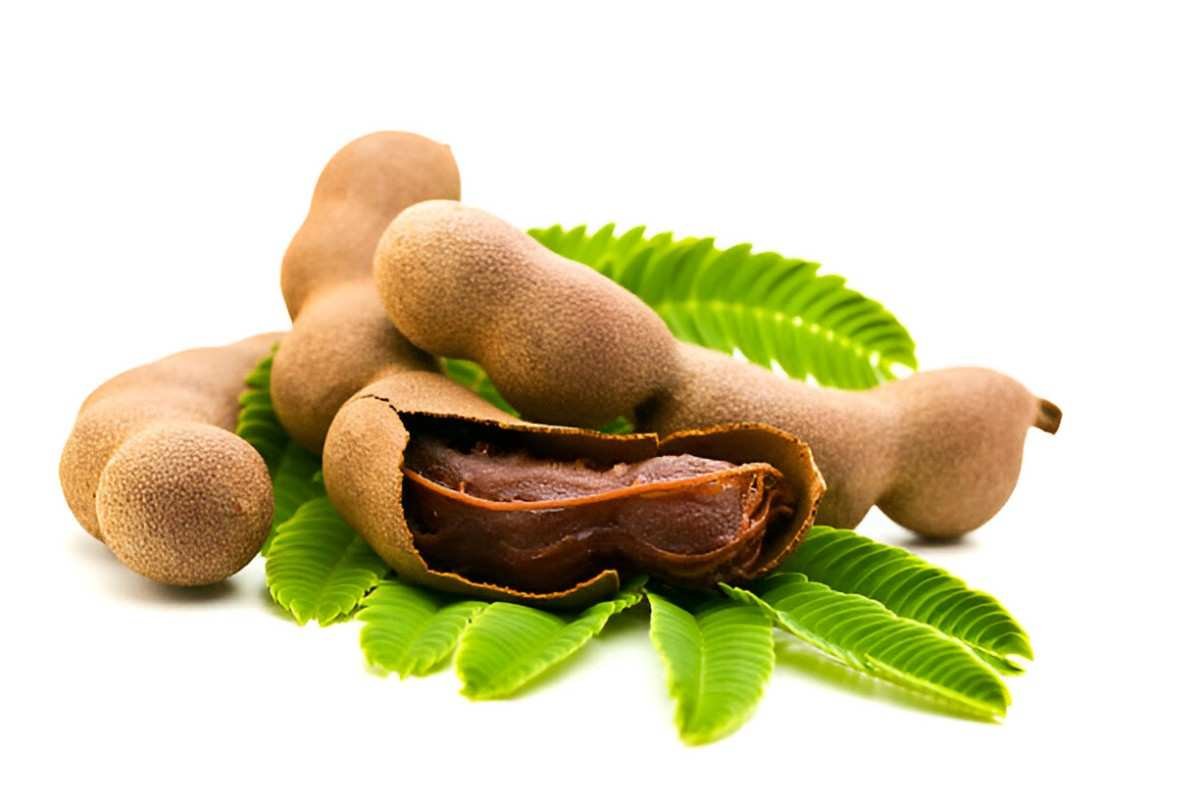 Exploring the Health Benefits of Tamarind