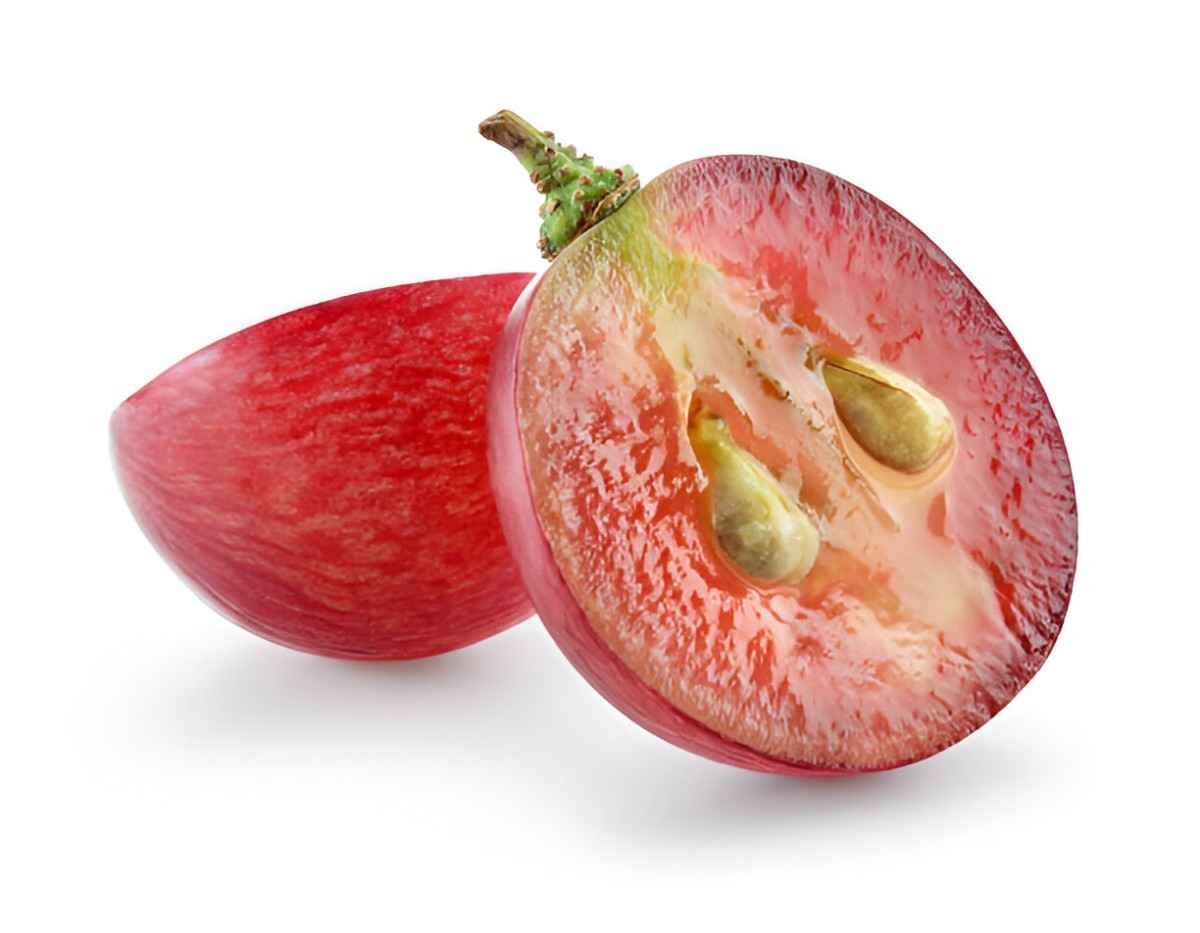 Grape Seed