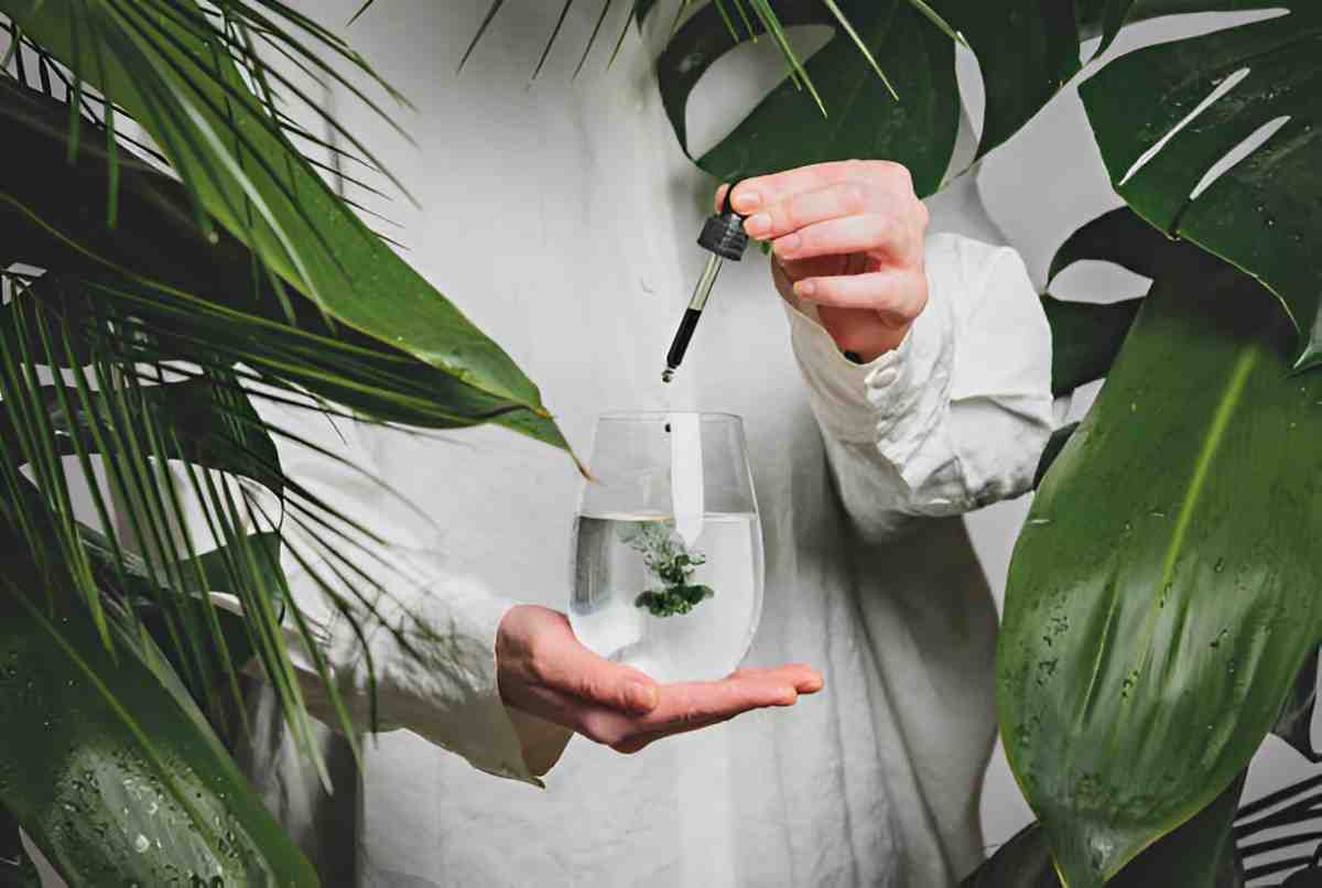 Harnessing the Healing Power of Liquid Chlorophyll Green Gold for Health