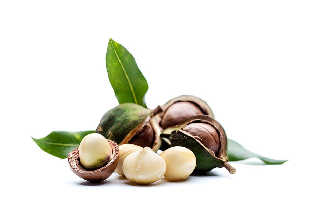 Macadamia Nuts