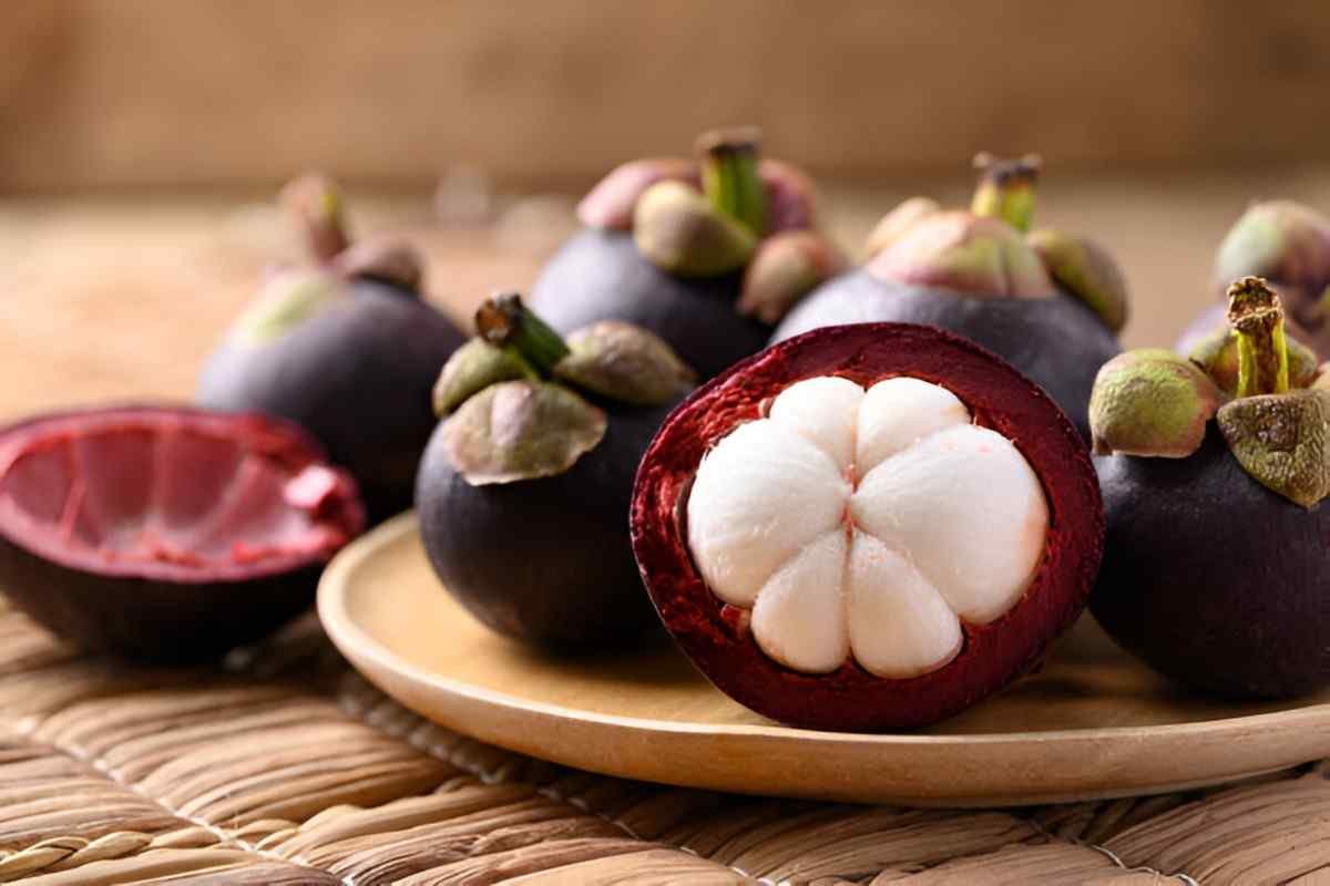 Mangosteen