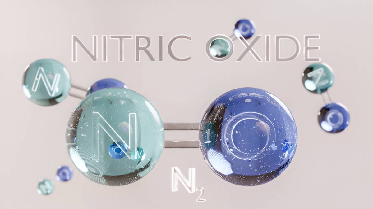Nitric Oxide