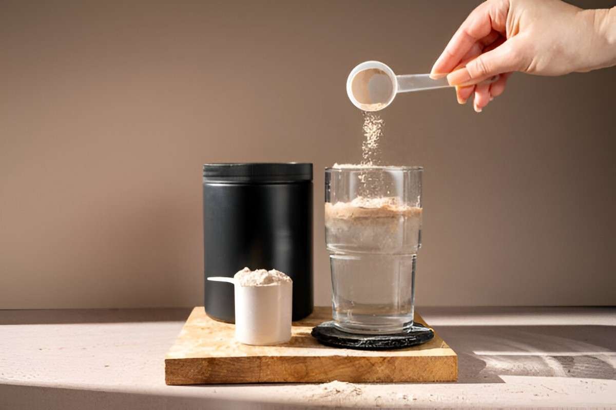 Protein Powder