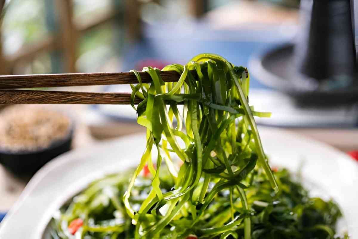 Seaweed