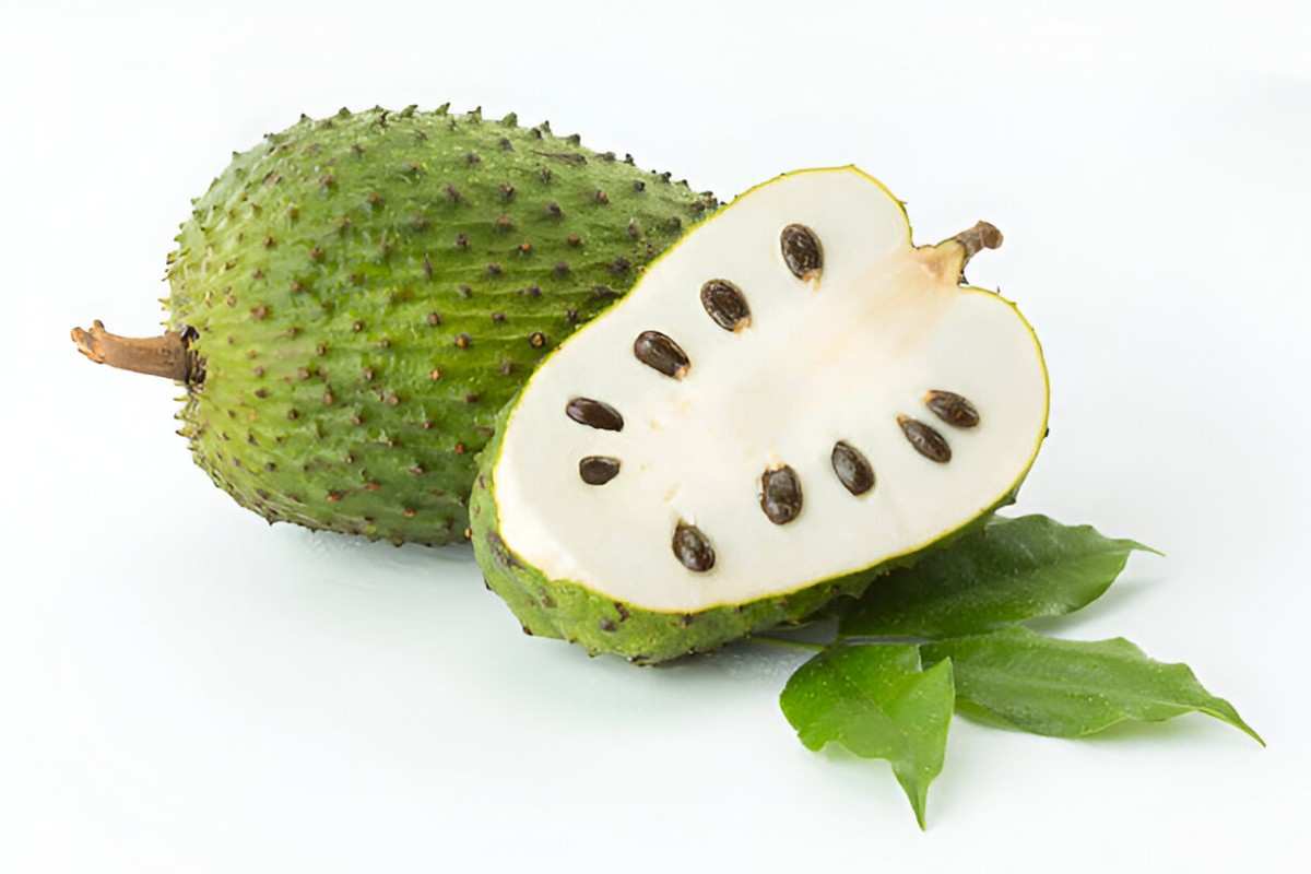 Soursop