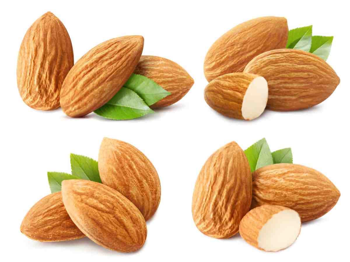 The Health Benefits of Almond Nuts