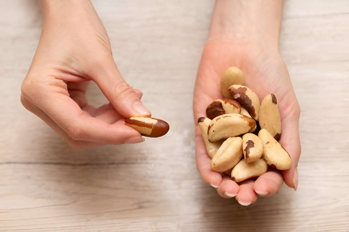 The Health Benefits of Brazil Nuts