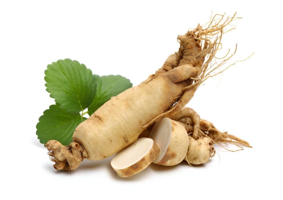 The Health Benefits of Ginseng