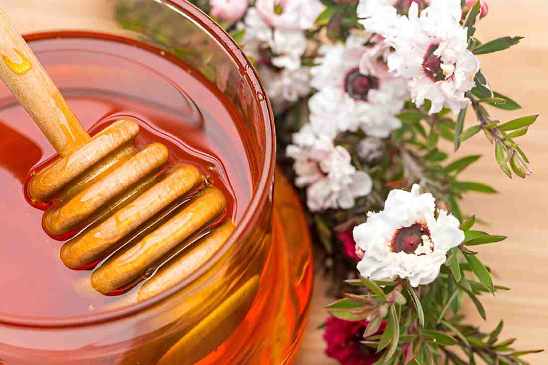 The Health Benefits of Manuka Honey