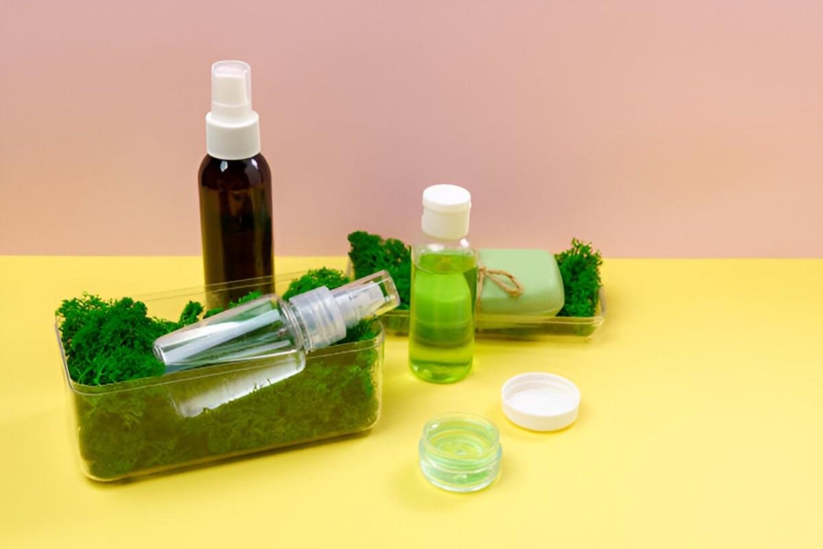 The Health Benefits of Sea Moss