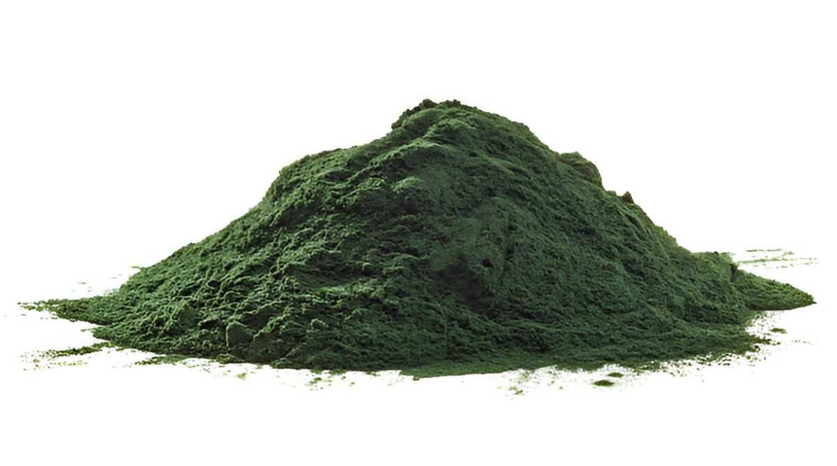 The Health Benefits of Spirulina Powder