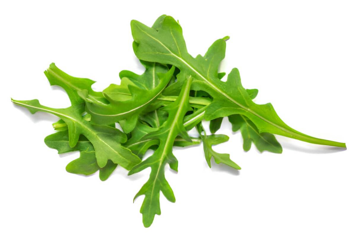 Unlocking the Health Benefits of Arugula