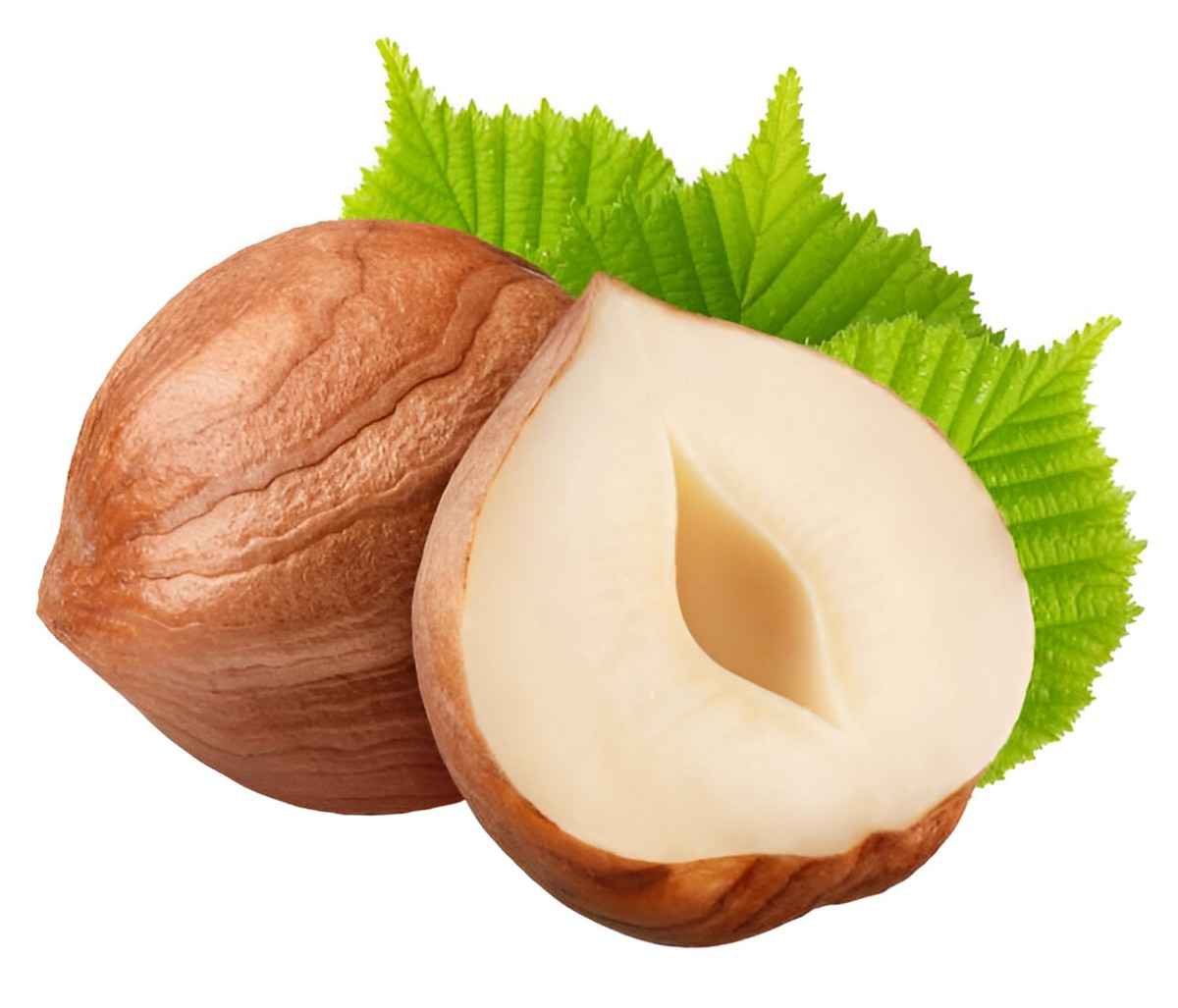 Unlocking the Power of Hazelnuts A Nutritional Powerhouse