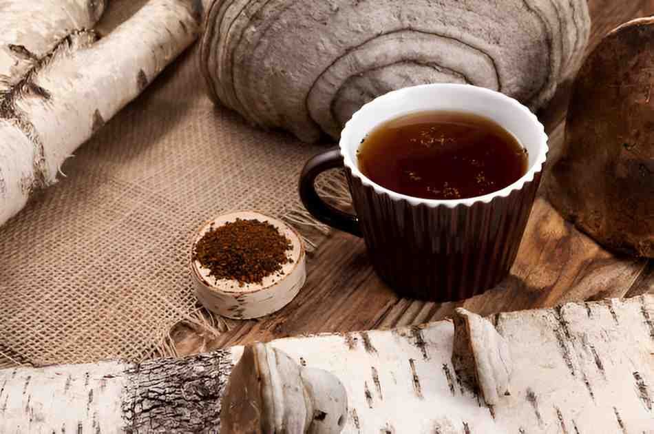 Unveiling the Health Benefits of Chaga Tea