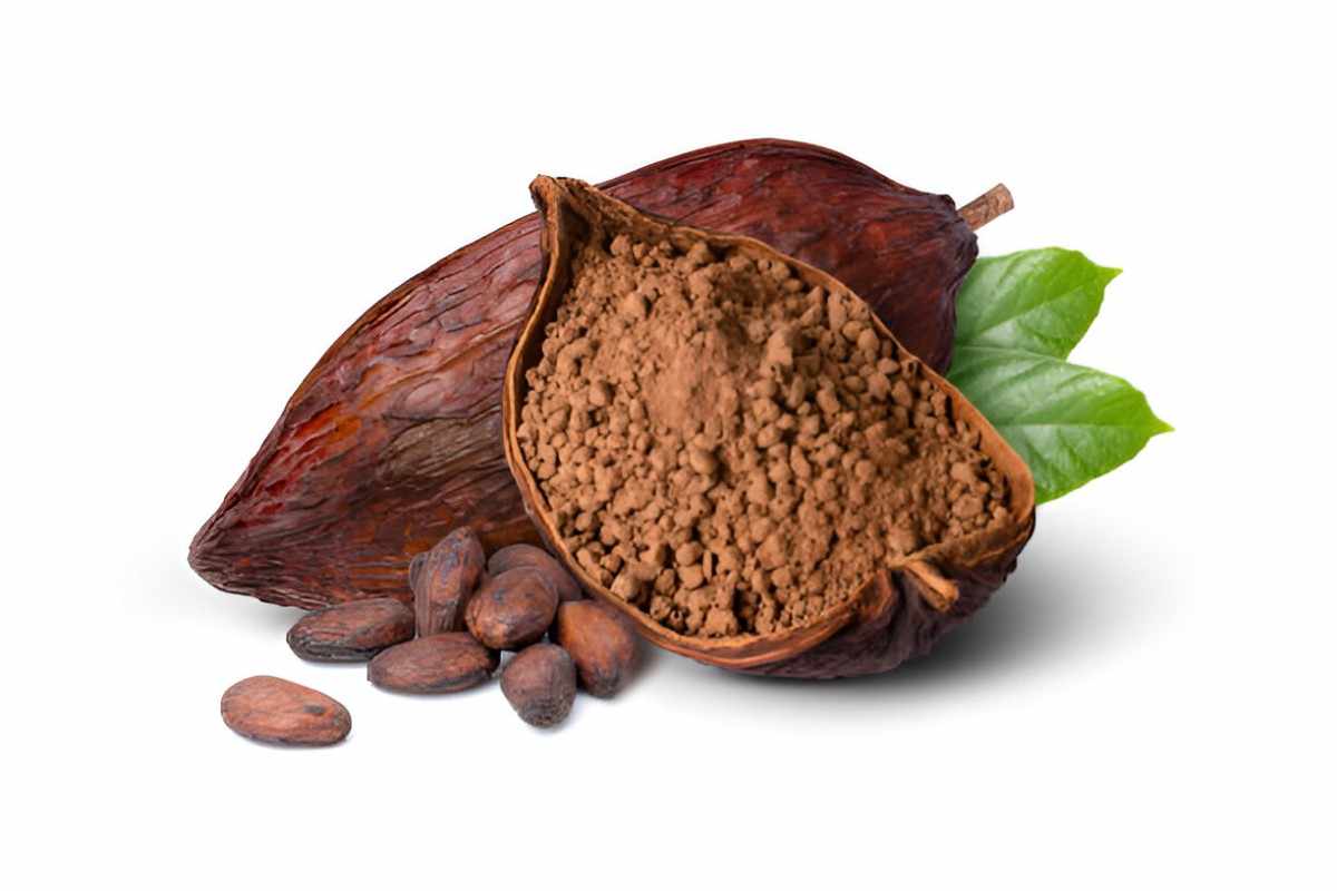 Unveiling the Health Benefits of Cocoa Powder