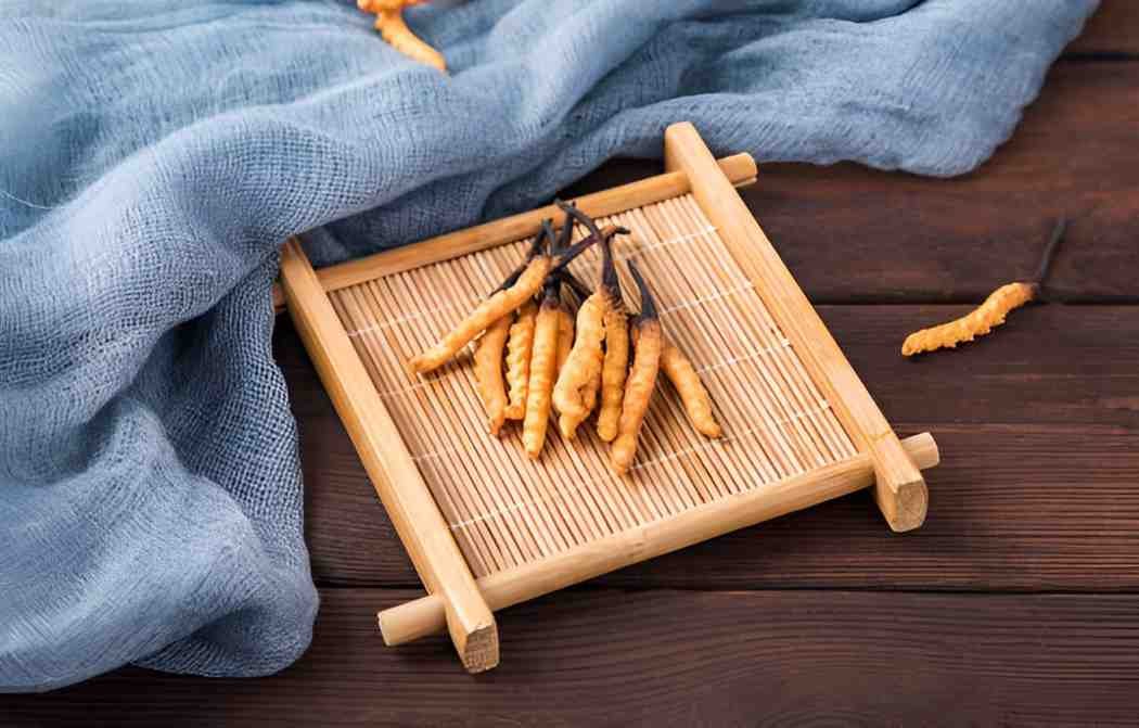 Unveiling the Health Benefits of Cordyceps