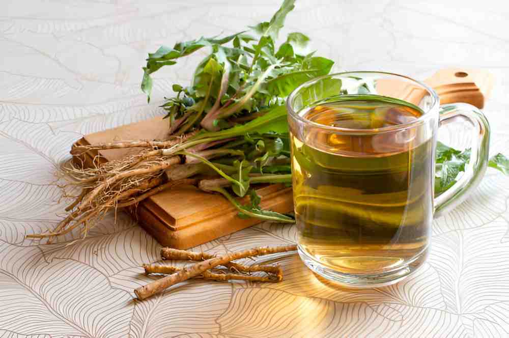 Unveiling the Health Benefits of Dandelion Root Tea