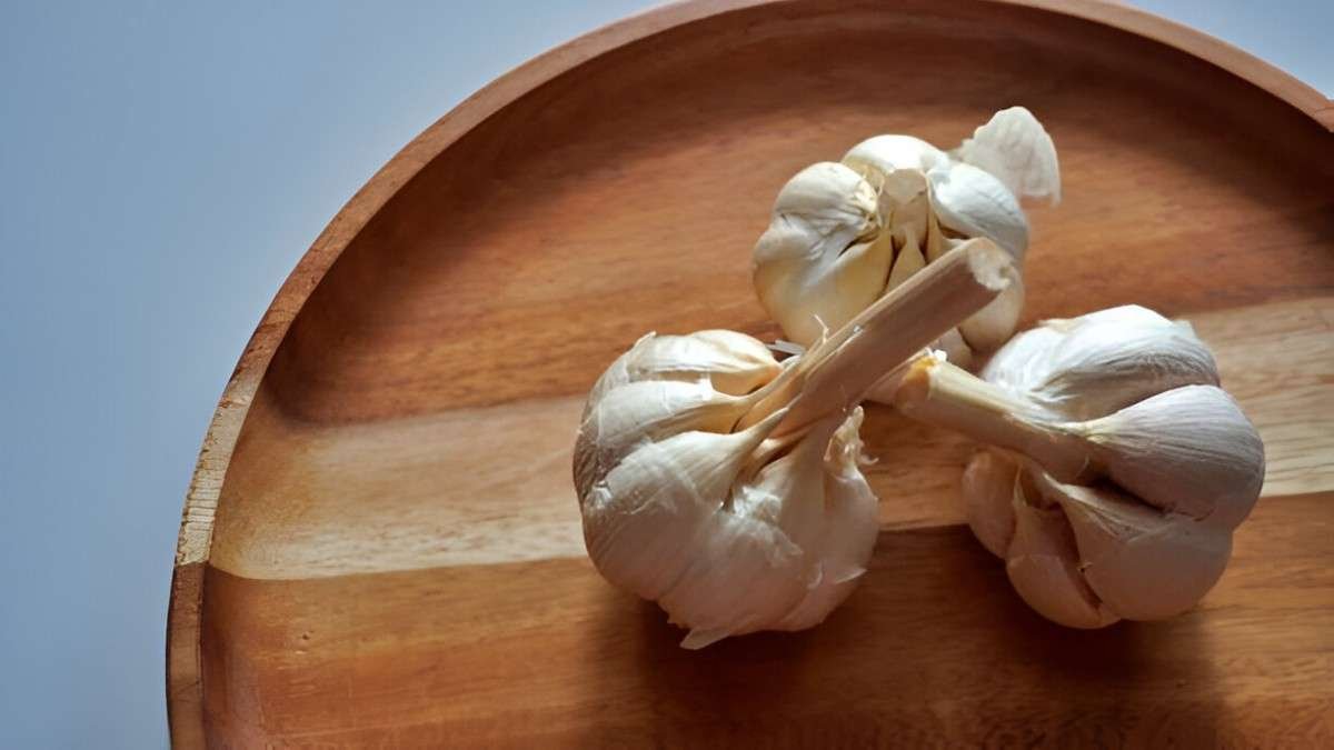 Unveiling the Health Benefits of Garlic