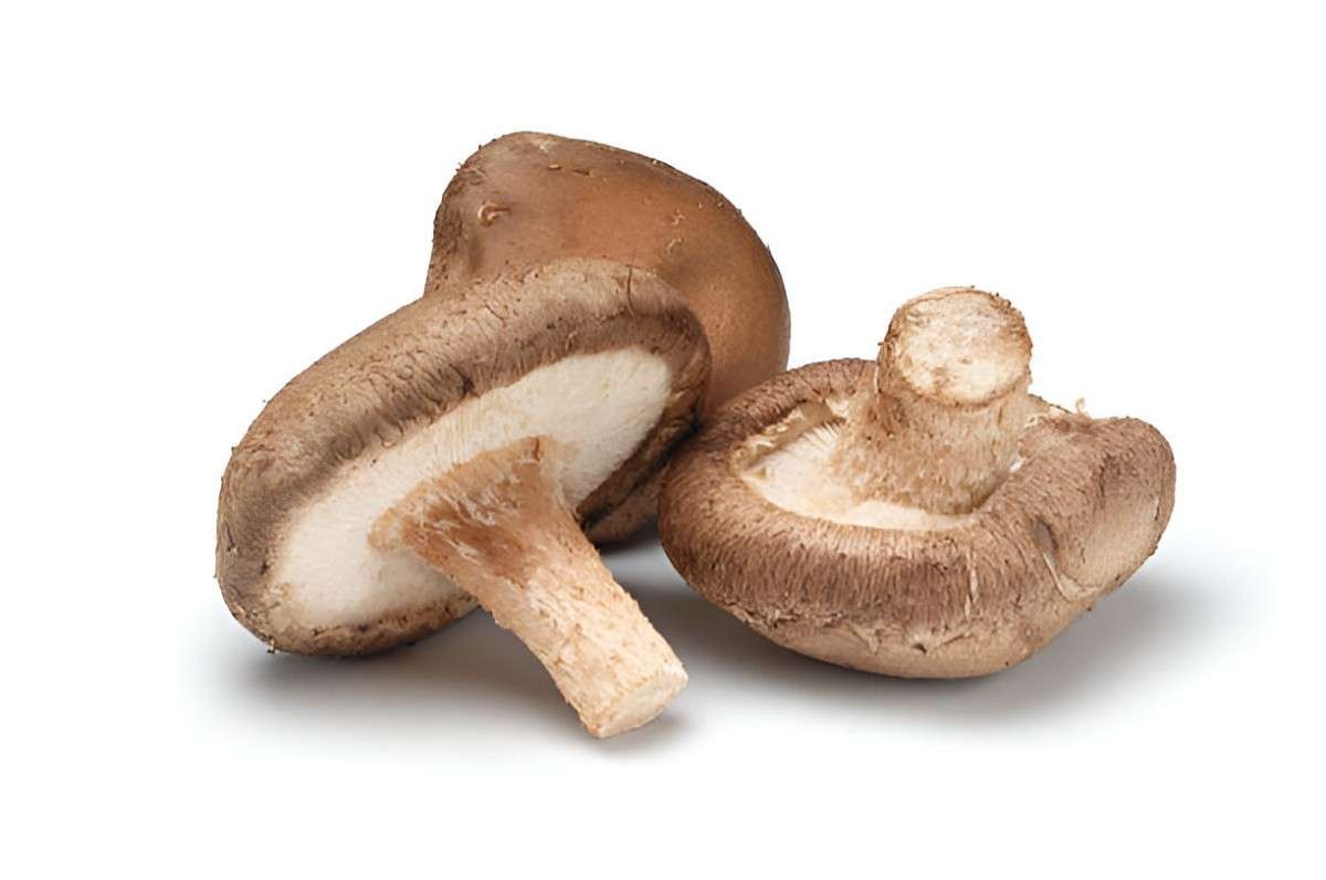 Unveiling the Health Benefits of Shiitake Mushrooms