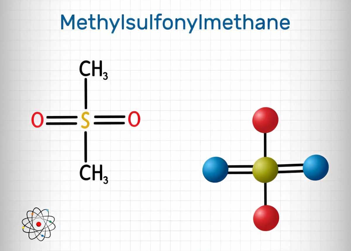 Unveiling the Health Marvels of Methylsulfonylmethane MSM Natures Secret Supplement