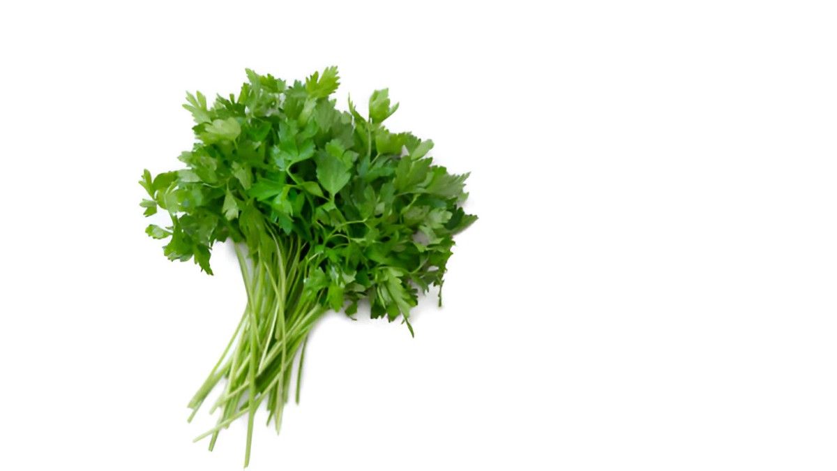 Unveiling the Health Wonders of Parsley