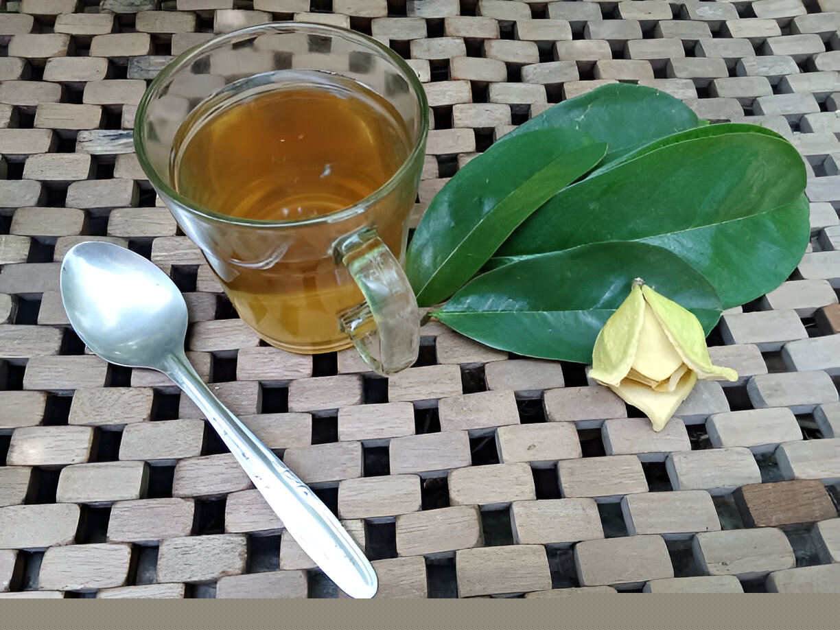 Unveiling the Health Wonders of Soursop Tea
