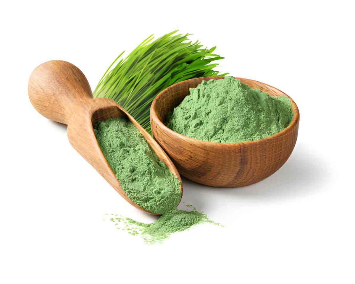 Wheatgrass Powder
