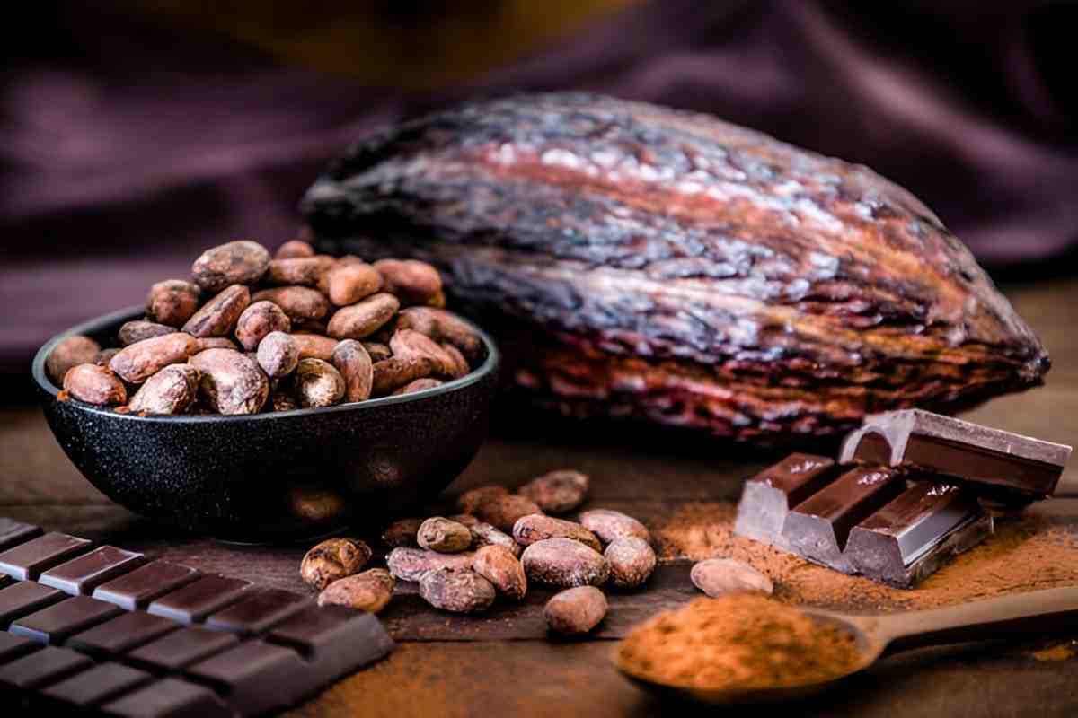 Cacao Nibs