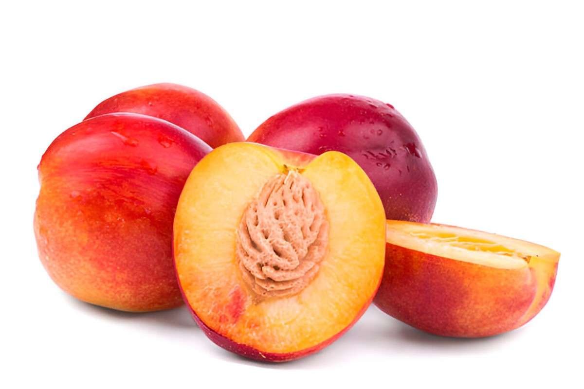 Nectarines