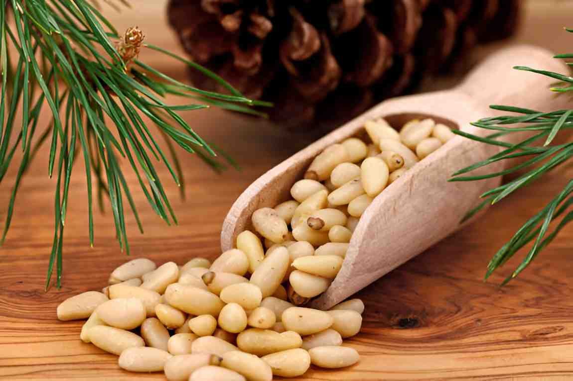 Pine Nuts