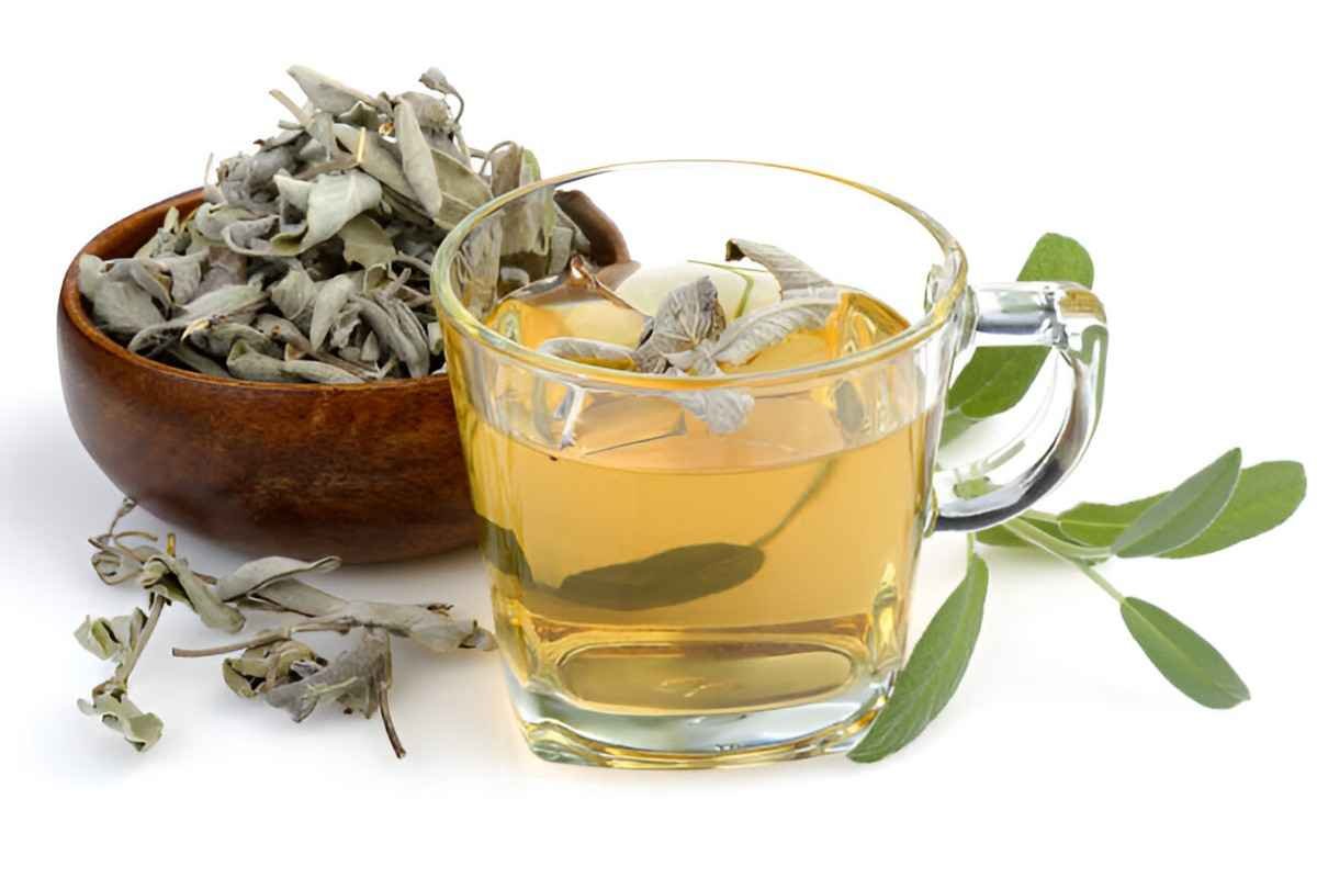 Sage Tea
