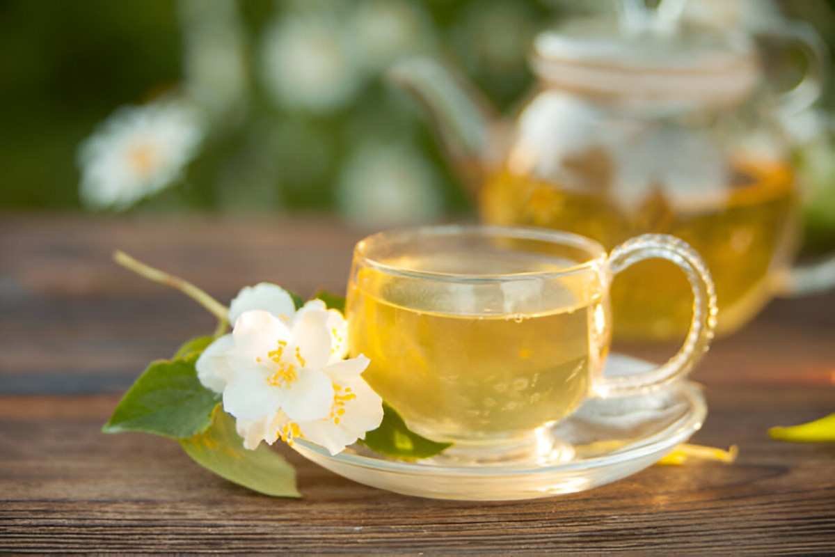 Savoring the Subtle Elegance Exploring the Health Benefits of Jasmine Tea