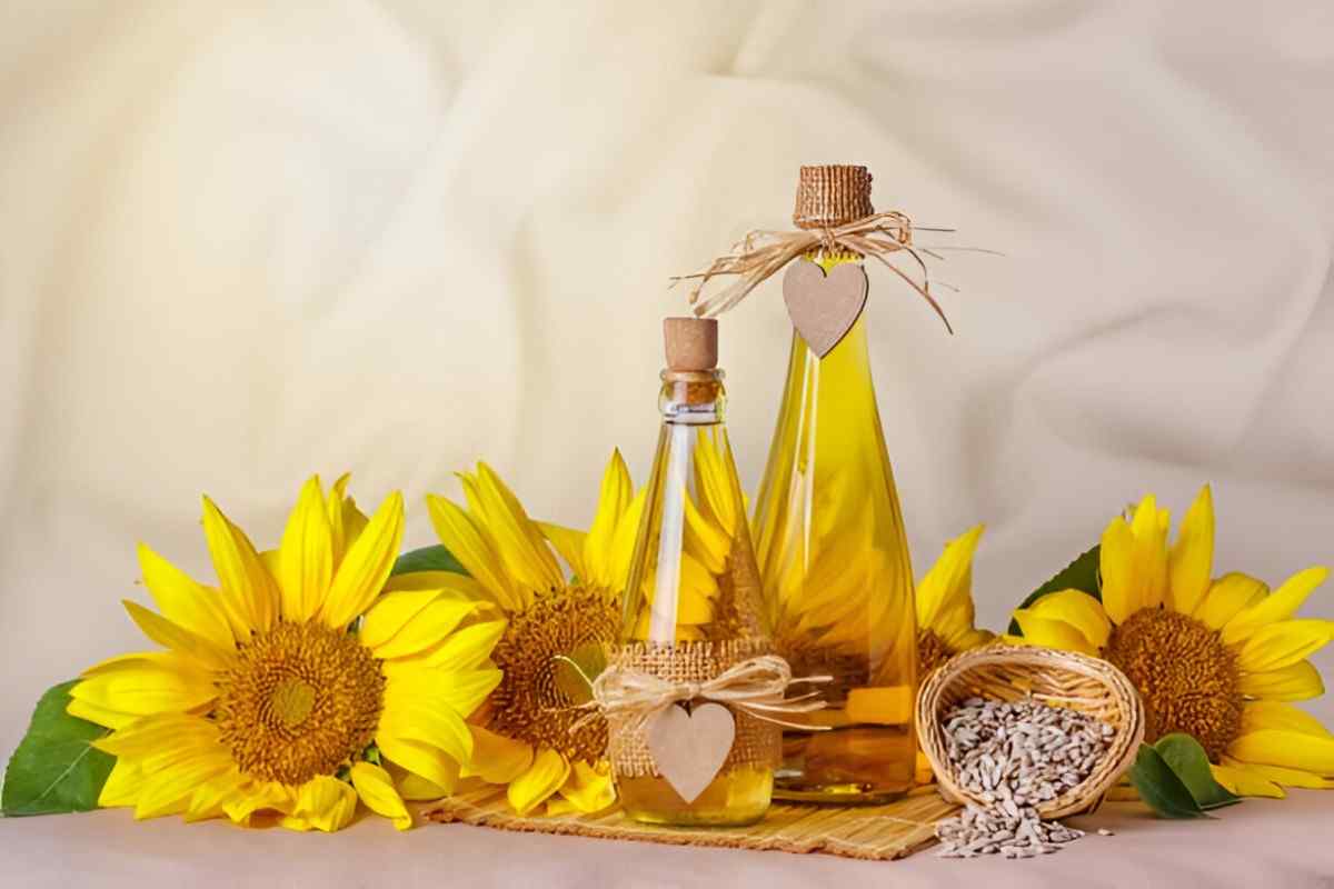 Sunflower Oil